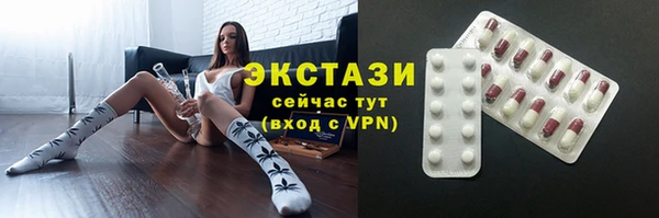 хмурый Алексин
