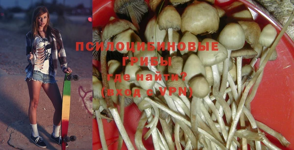 хмурый Алексин