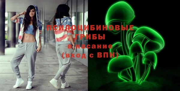 хмурый Алексин