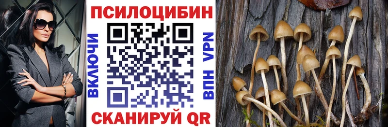 Галлюциногенные грибы прущие грибы  Кыштым 