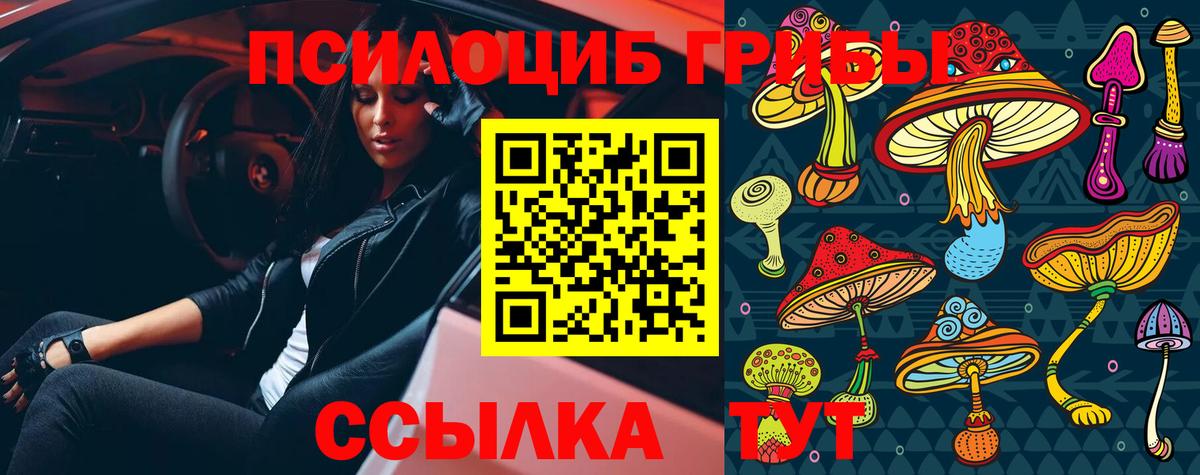 Псилоцибиновые грибы прущие грибы Кыштым