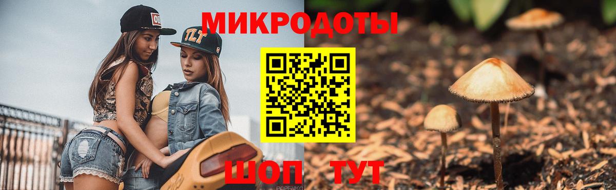 купить наркоту  Кыштым  Галлюциногенные грибы Psilocybine cubensis 